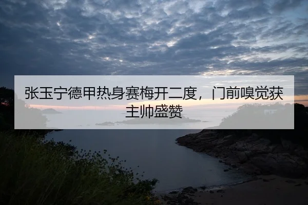 张玉宁德甲热身赛梅开二度，门前嗅觉获主帅盛赞