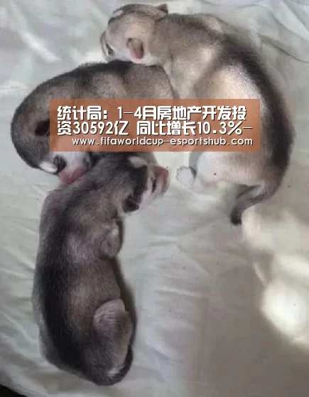 统计局:1-4月房地产开发投资30592亿 同比增长10.3%-世界杯足球直播(图3) 世界杯足球直播