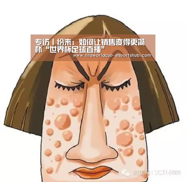 专访丨纷来:如何让销售变得更简朴“世界杯足球直播”(图2) 世界杯娱乐中心