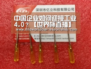 世界杯足球直播