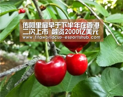 传阿里最早于下半年在香港二次上市 融资2000亿美元:世界杯足球直播(图2) 世界杯APP下载