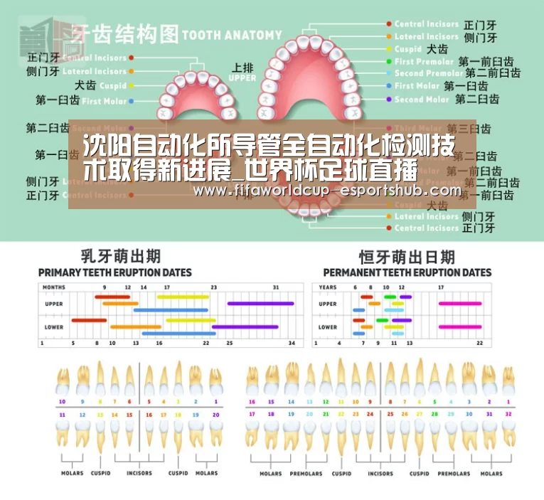 沈阳自动化所导管全自动化检测技术取得新进展_世界杯足球直播(图1) 世界杯直播